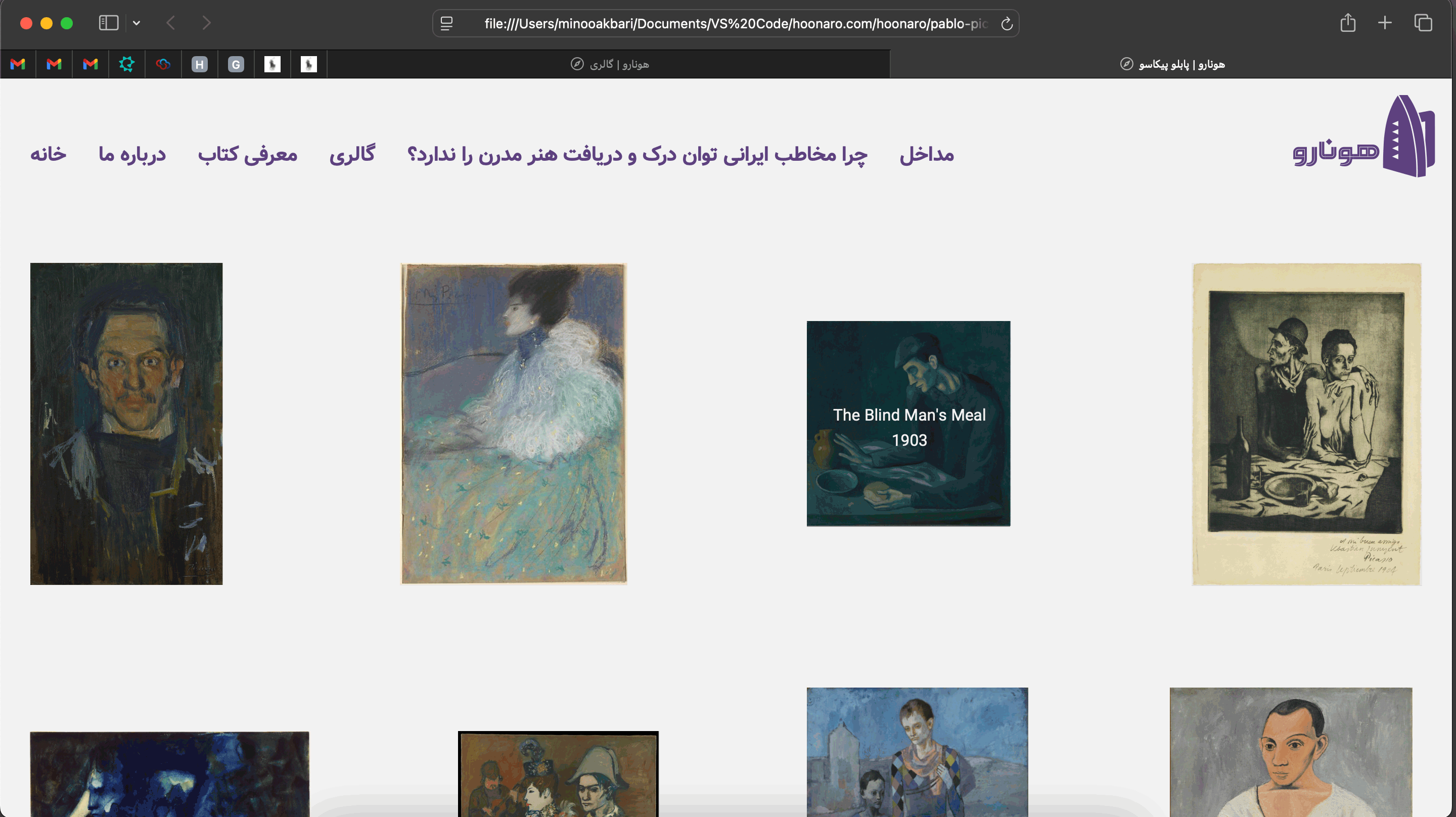 Hoonaro Website